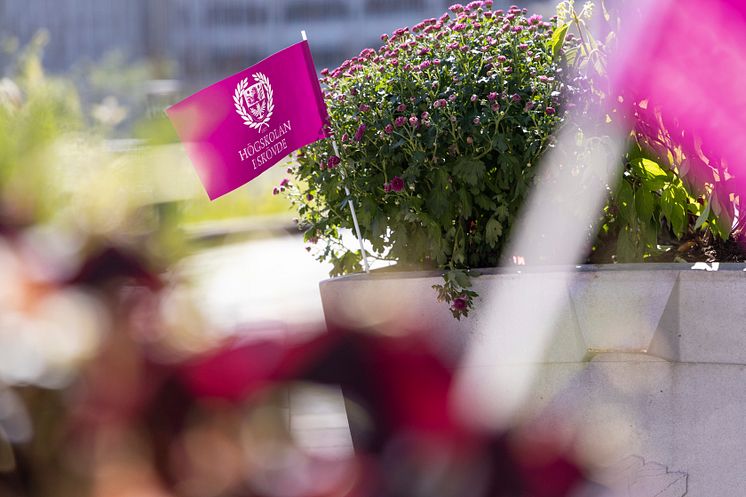 Flagga på campus