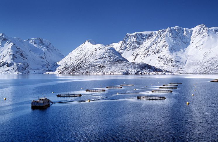 Aquaculture en Norvège