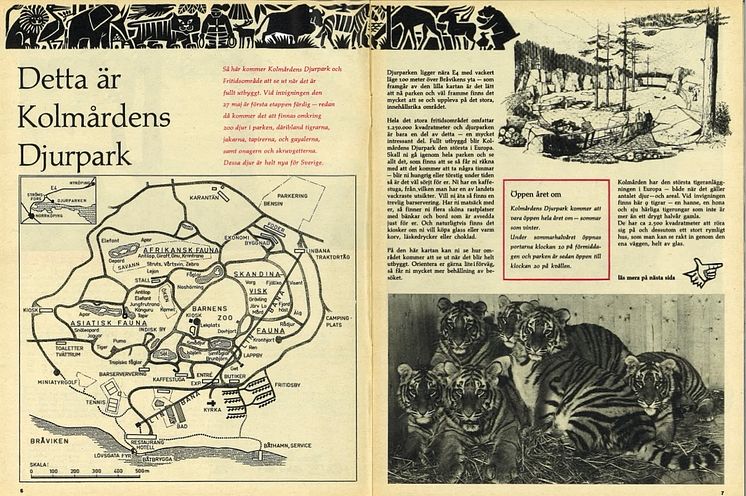 Tidningen Kolmården Nr 1 - s-6-7.jpg