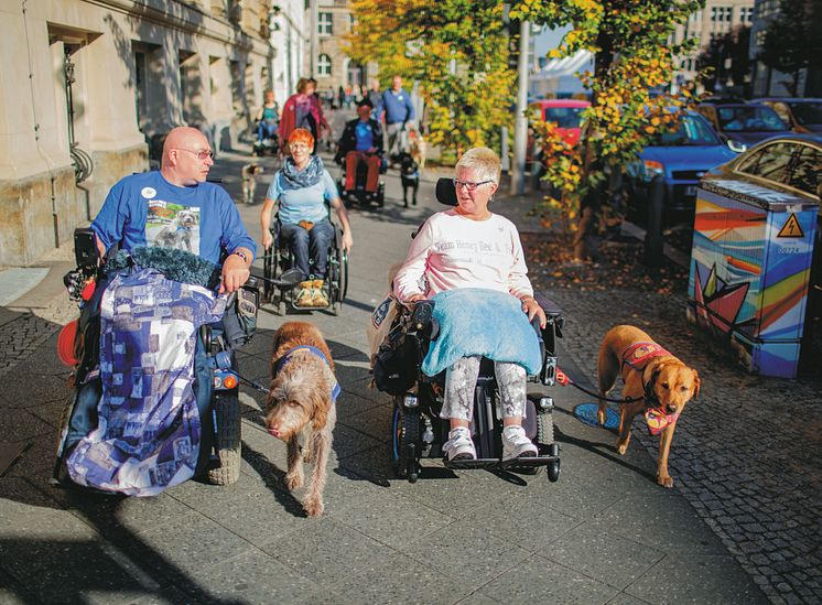 Symbolbild_Blindenführhund