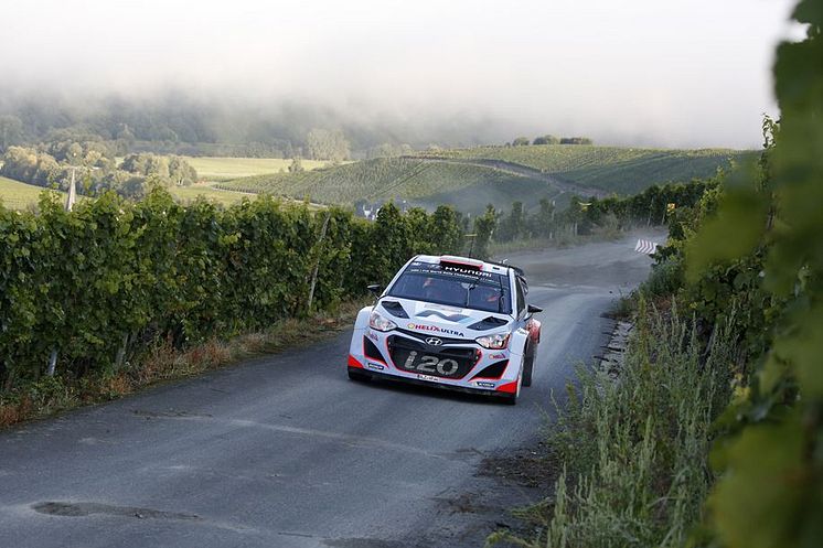 Dani Sordo, Hyundai Shell World Rally Team