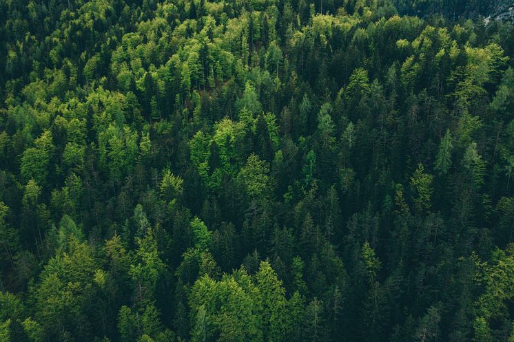 2022 Voyado Sustainability Report