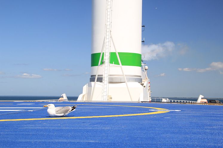 Seagull rotor sail 
