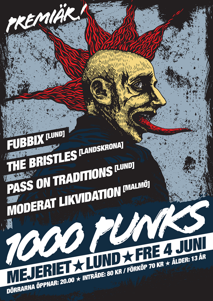 1000 PUNKS - MEJERIET 4 JUNI 2010