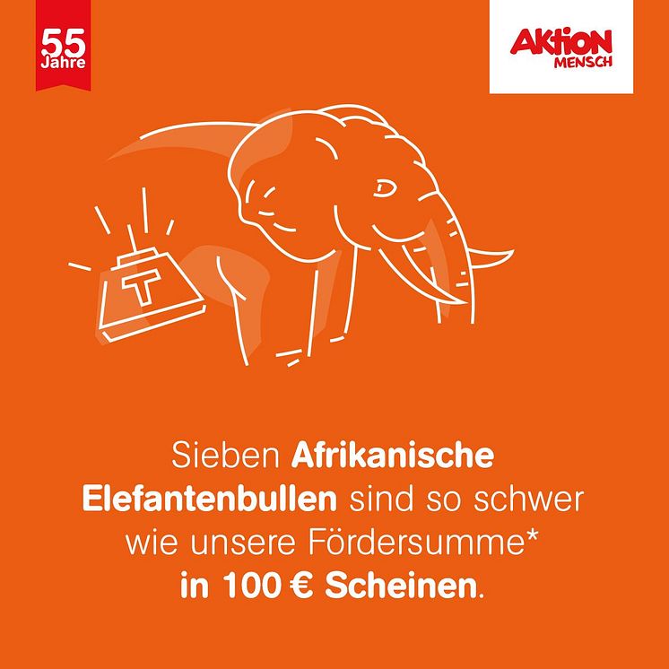 Mehr als 4,1 Milliarden Euro an Fördergeldern ausbezahlt –  55 Jahre Aktion Mensch