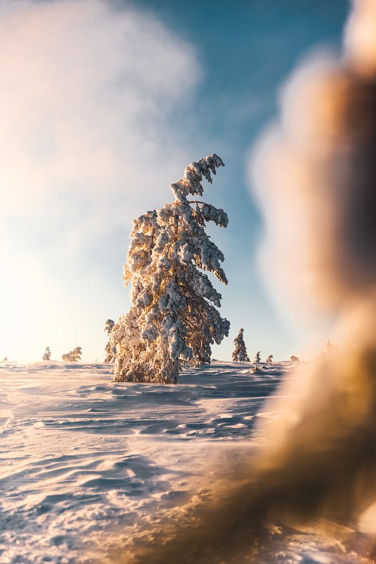 Sälen snö januari 2021