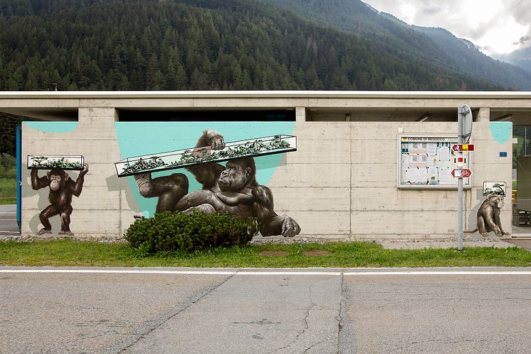 Zoo di Messocco Pian San Giacomo, Misox, Graubünden