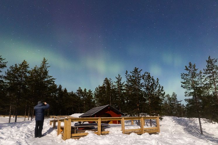 Norrsken Hamptjärnsstugan