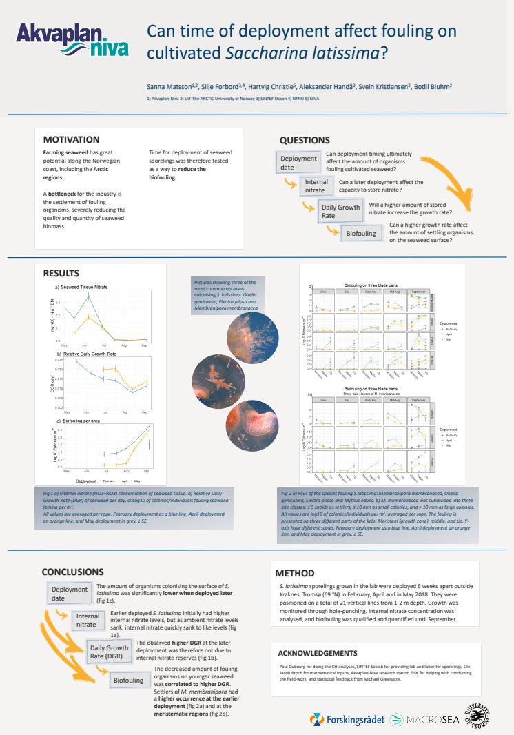 Arctic Frontiers poster Sanna Matsson