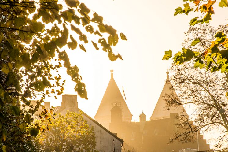 Domkyrkotornen i solnedgång