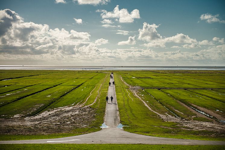 Westerhever, Osteruten