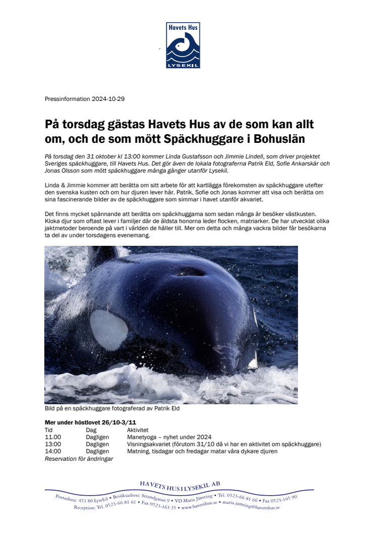 241029_Späckhuggare på västkusten.pdf