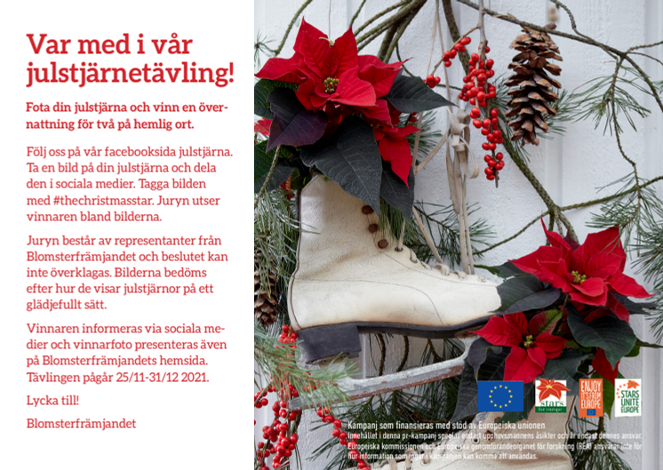 Var med i vår julstjärnetävling!