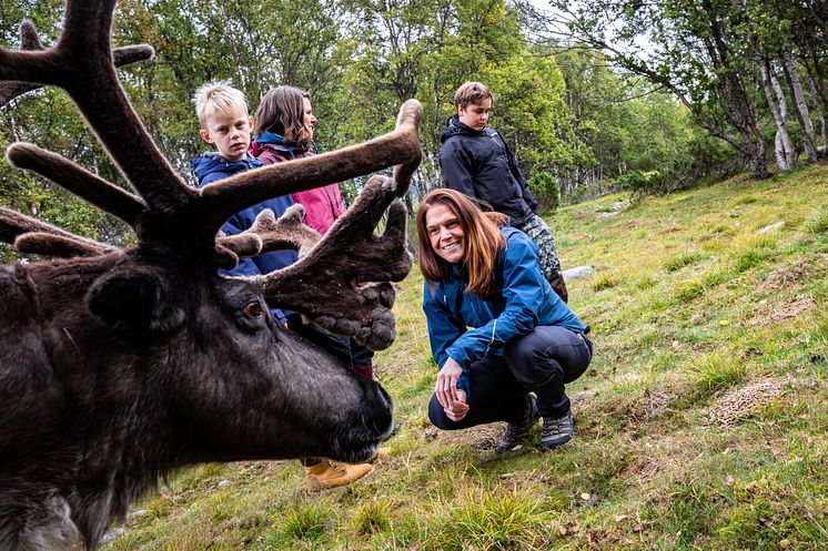 Renbiten_Reindeers_fotoTobbeNilsson_VisitDalarna