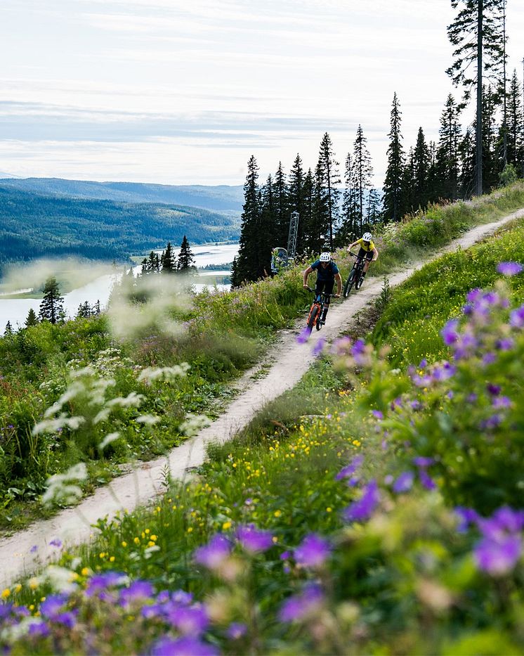 Åre XC cykling 