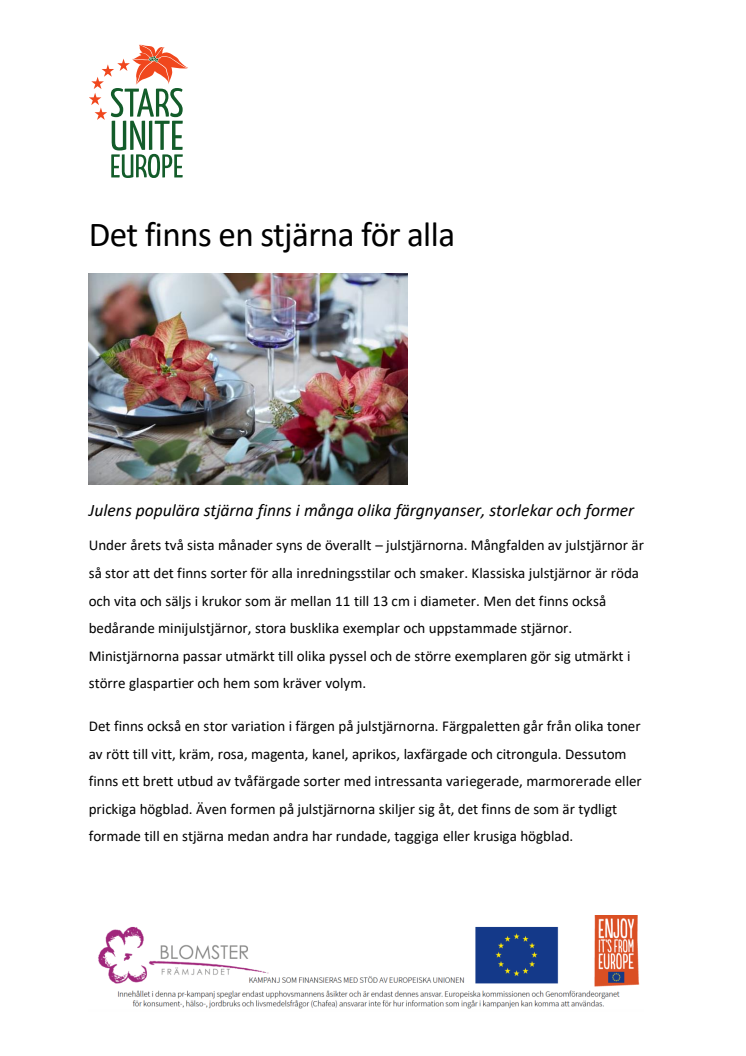 Det finns en stjärna för alla