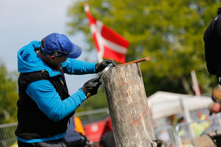 Hans-Ove Hansson – svensk och nordisk mästare