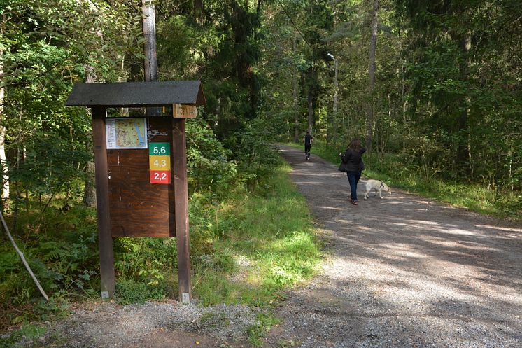 Motionsspår Rösjöskogen