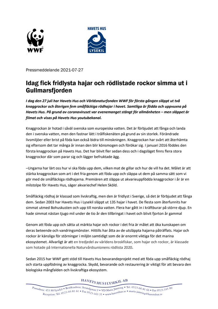 210727 -pressmeddelande Havets hus och WWF om utsläpp av rockor och hajar.pdf