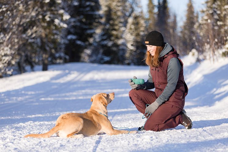 Dog sport's väst