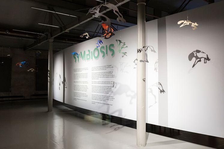 Symbiosis, installatinsvy. 