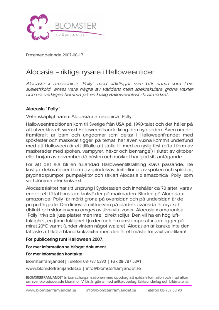 Alocasia – riktiga rysare i Halloweentider