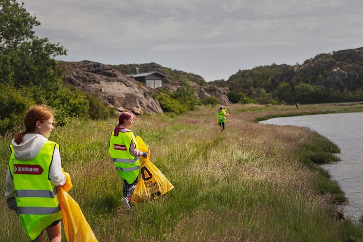 Apotea Clean-Up Day 