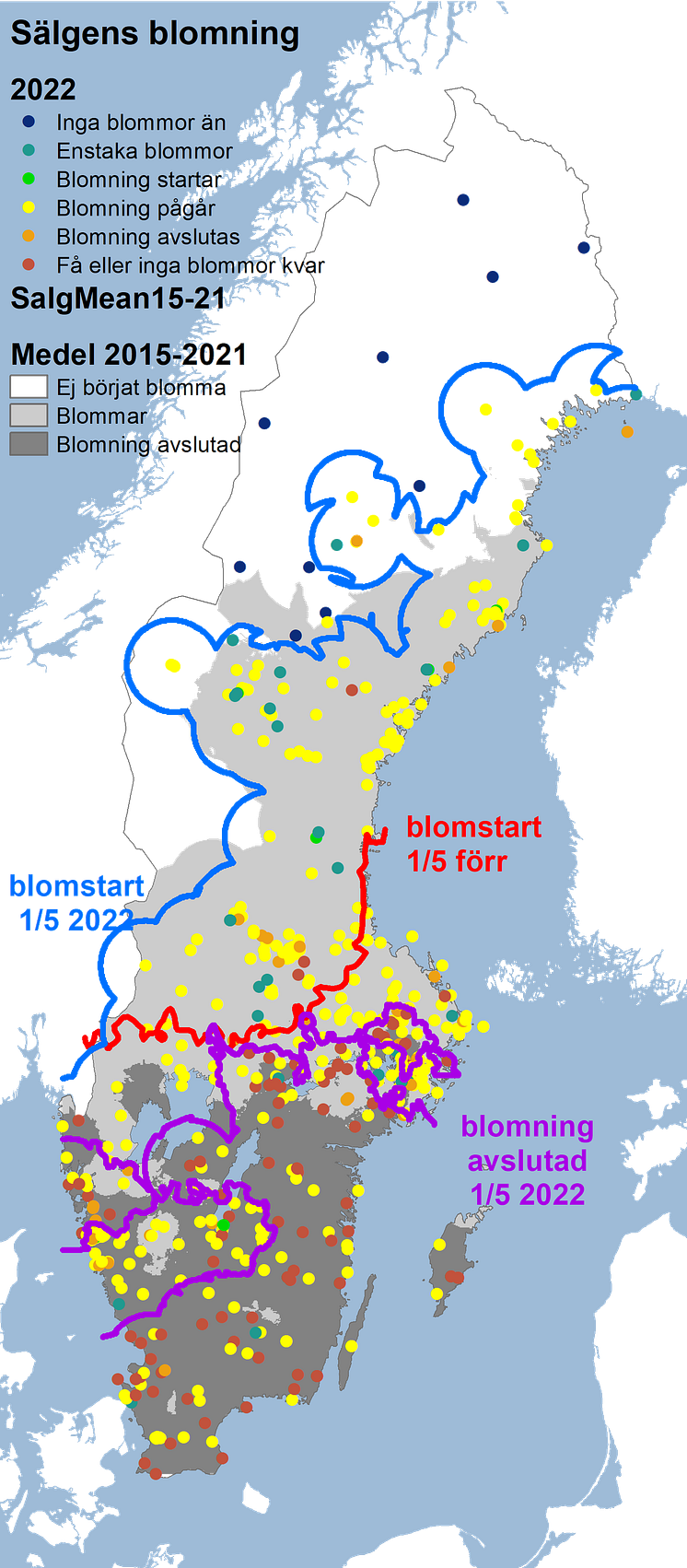 sälg2022