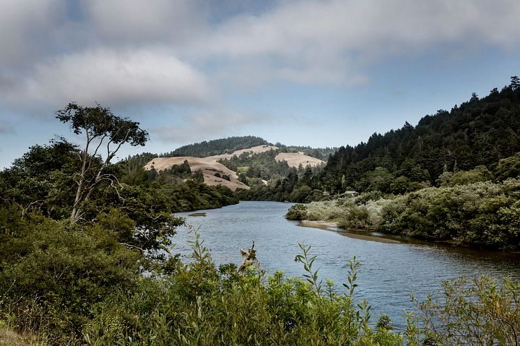 Russian river, Sonoma California - Kenwood wines