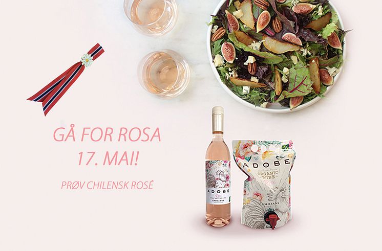 Adobe rosé og fikensalat Chilensk Rosé