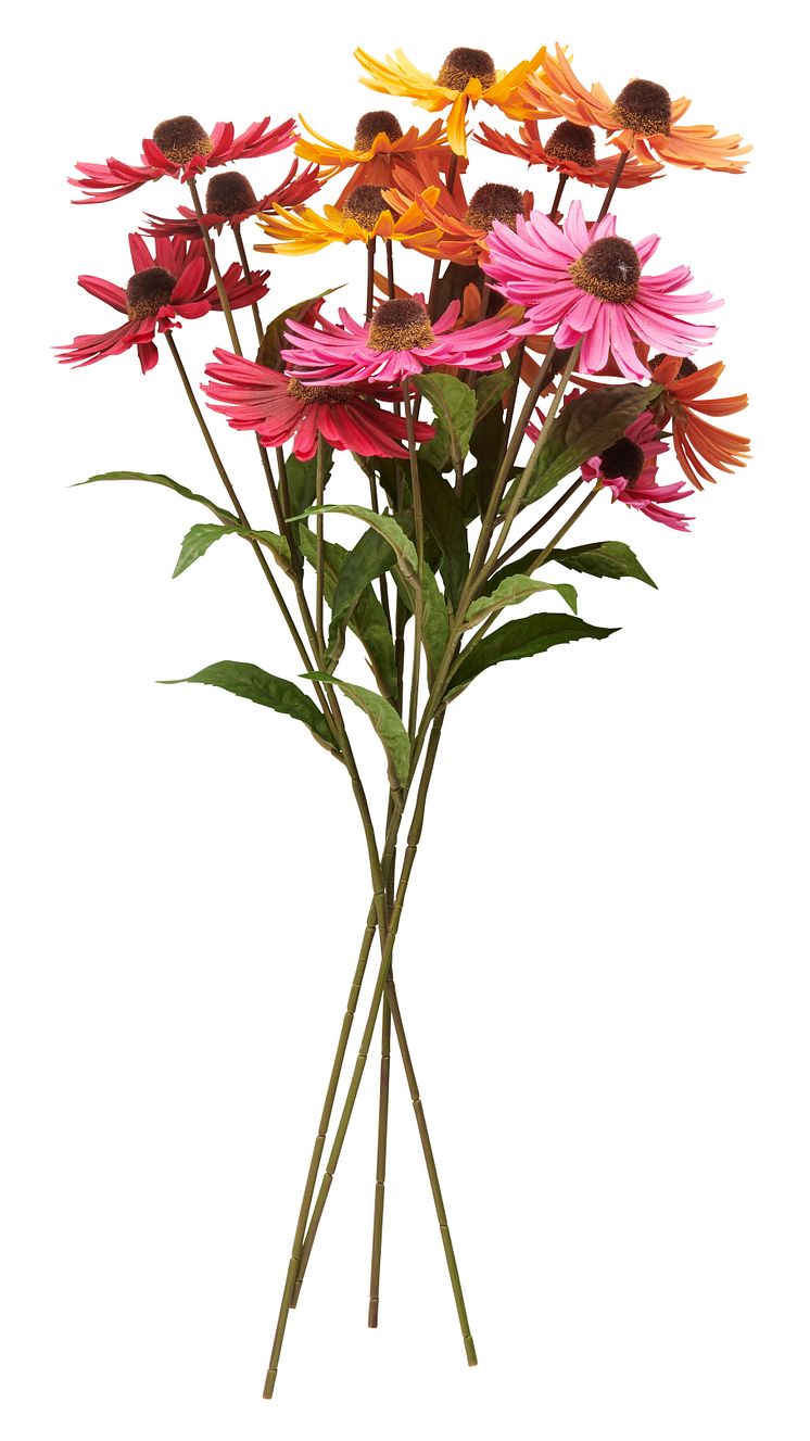 NYHET! Twig Daisy 58 cm Mixed colors 2,99 EUR.jpg