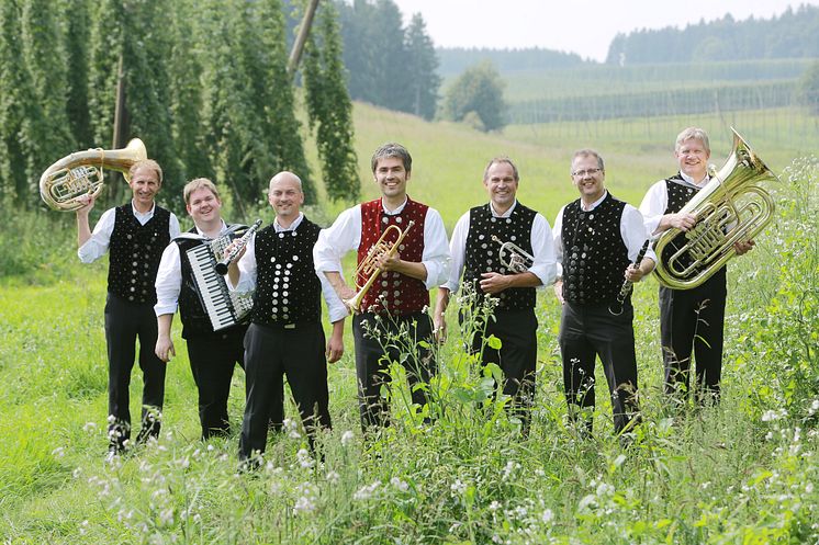 Dellnhauser Musikanten_1