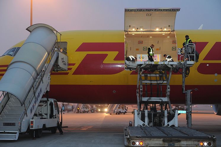 DHL Express transport af pandaer