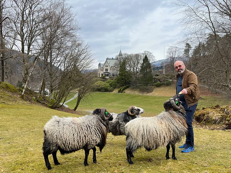 Driftsleder ved Gamlehaugen i Bergen, Tor Christiansen Foto Nils Tore Sæterdal i Statsbygg.jpg