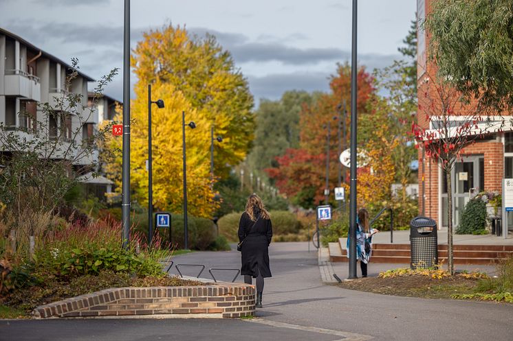 Promenad i Selma stad   bild Niklas Maupoix