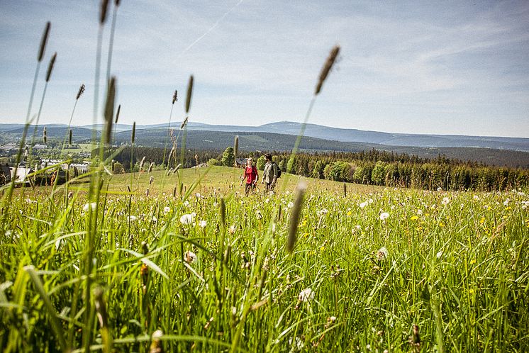 Kammweg Wandern_Foto TVE_Rene Gaens.jpg