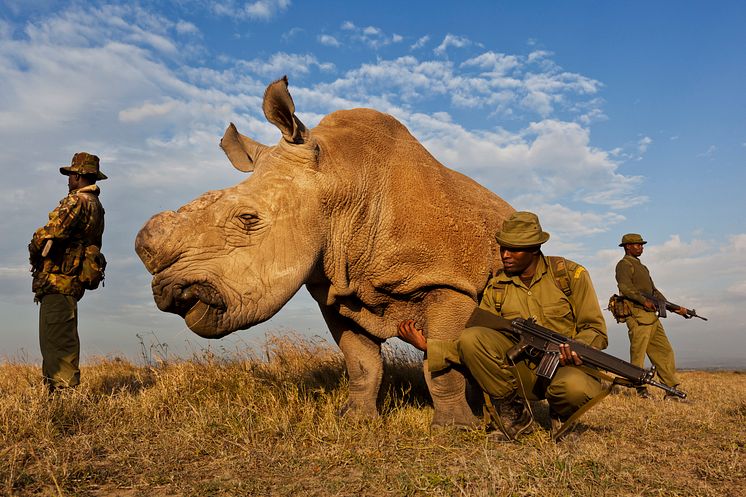Brent Stirton / Getty Images Reportage