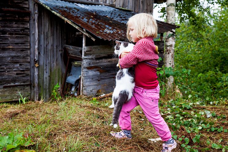 Herfra gårdsmat og matkultursenter