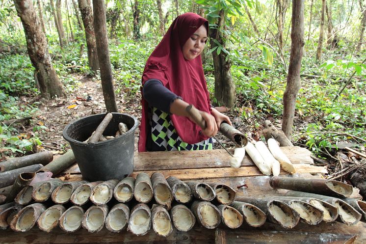 Sustainable Rubber Supply Chain4_Continental_GIZ Canopy Indonesia.JPG