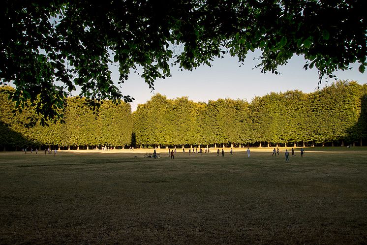 Pildammsparken, Malmö