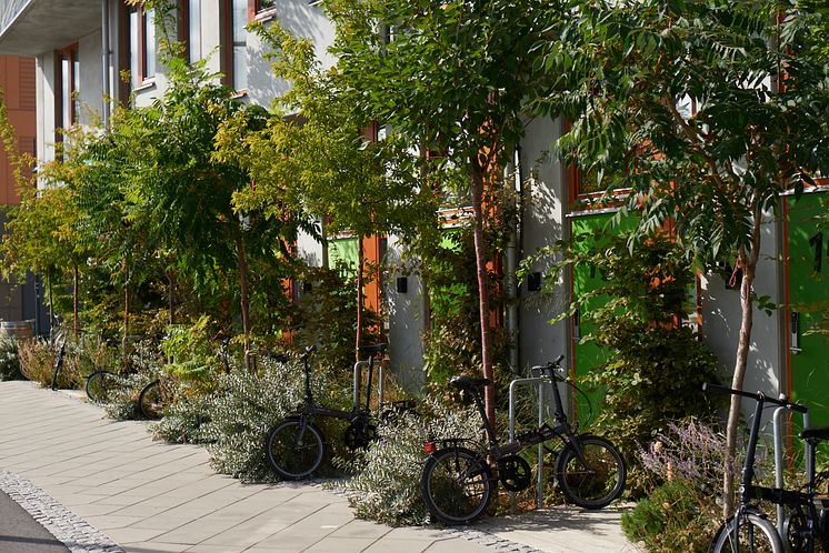 Ohboy, hotellets entrédörrar och cyklar