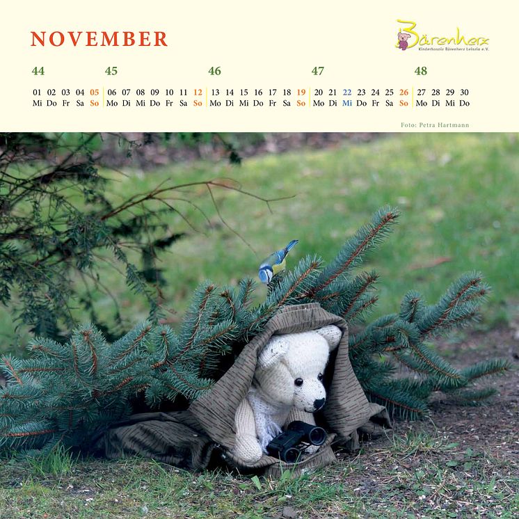 Mit Bärenherz durchs Jahr -  Der neue Bärenherz-Kalender ist da