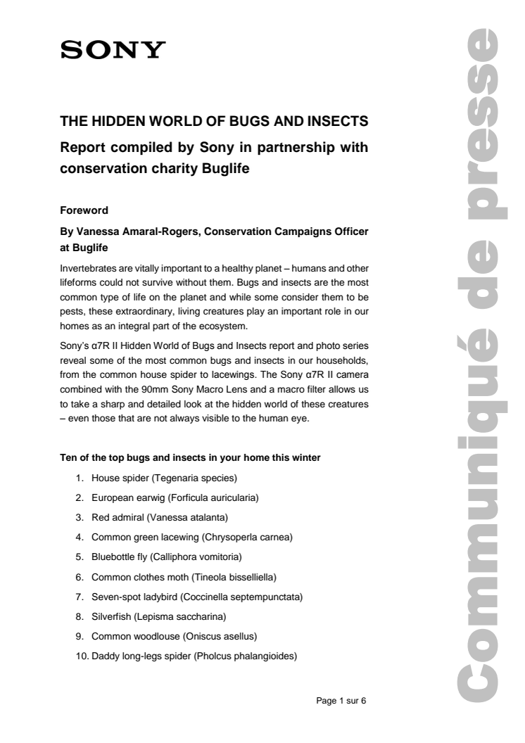 The Hidden World Of Bugs And Insects: Report compiled by Sony in partnership with conservation charity Buglife