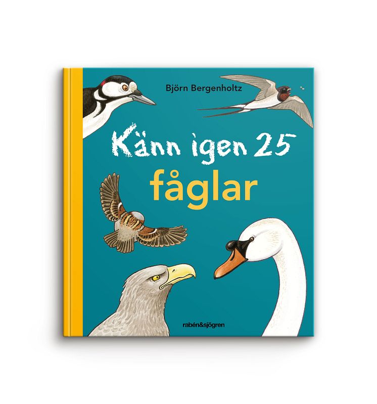 Känn igen 25  fåglar av Björn Bergenholtz Bok Happy Meal 2016