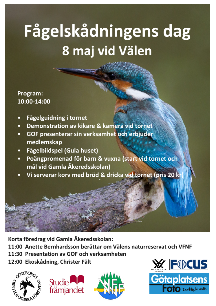 Fågelskådningens dag 8 maj i Göteborg