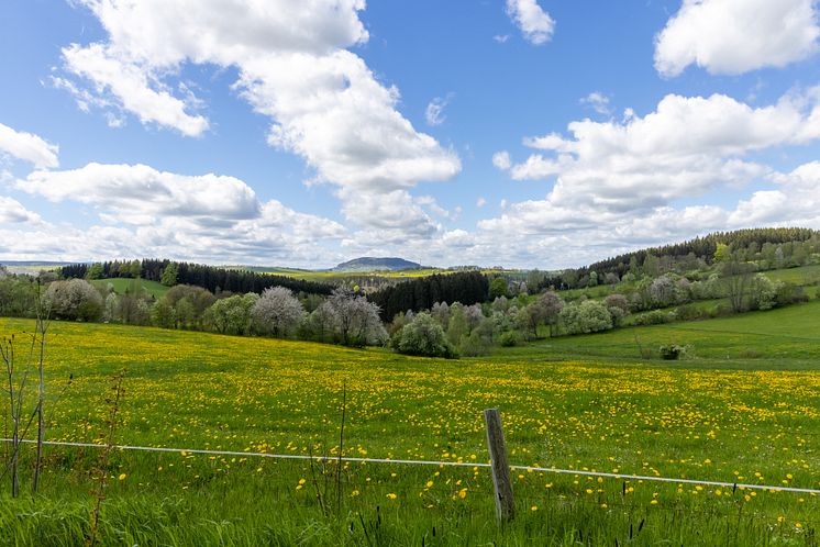 Landschaft_Frühling_Schindelbachtal 05.2021 (6 von 9) Foto TVE_RonnyKüttnerPhotoron