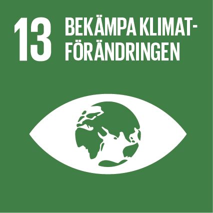 13 bekämpa klimatförändringen