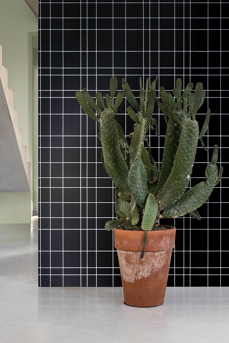 Flexa-HomeForMeaning-Kleurentrends2020-Cactus