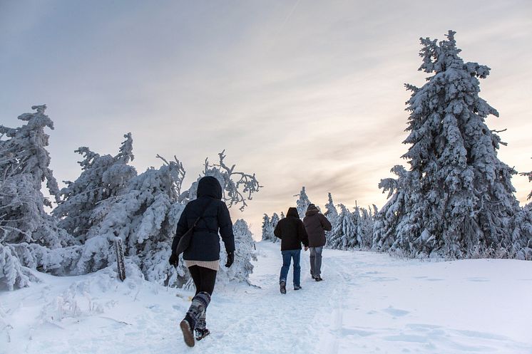 Winterwandern_Erzgebirge_Foto_TVE_Bernd_März (2) - Kopie