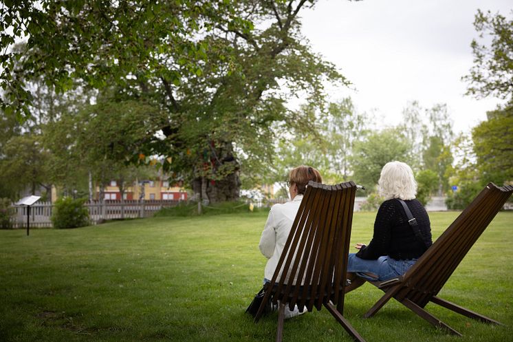 Prästgårdsparken - Foograf Simon Palerbro.jpg